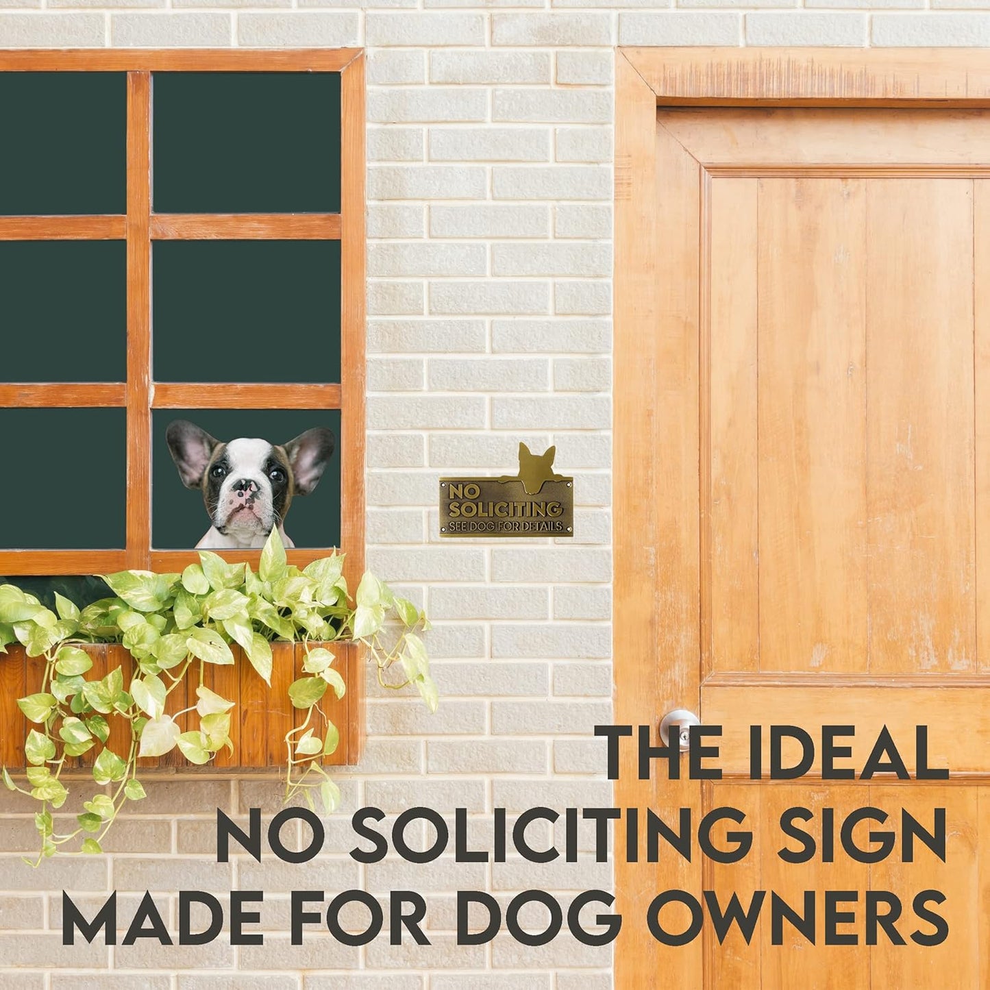 6.5 x 4.6 Inch Funny No Soliciting Sign – Heavy Duty Brass Wall Plaque